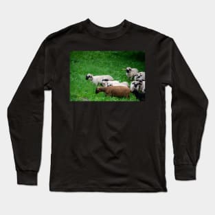 Sheep Long Sleeve T-Shirt